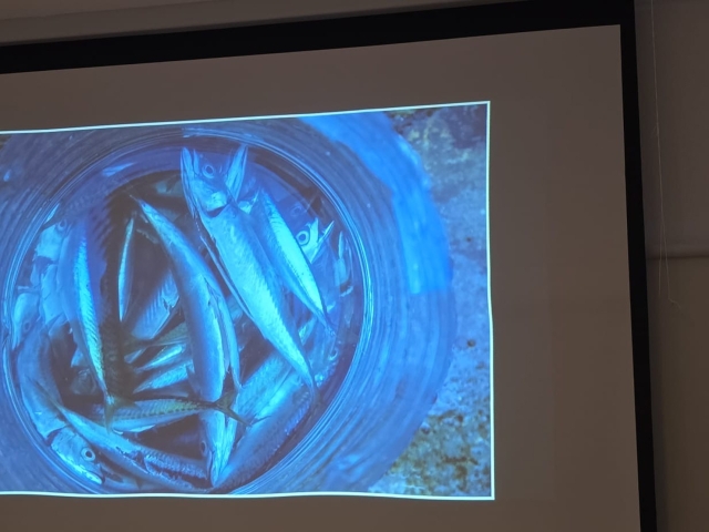 66f94138-8b74-4404-b6b1-9526d3b876f7 66f94138-8b74-4404-b6b1-9526d3b876f7