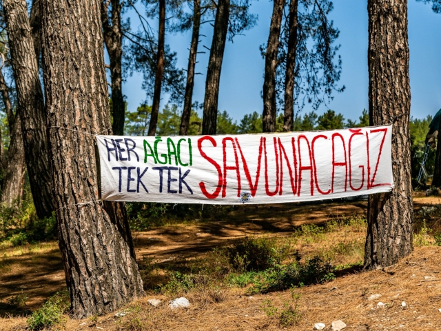 PHOTO-2021-07-28-21-29-33_1