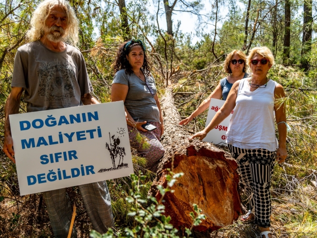 PHOTO-2021-07-28-21-29-40_2