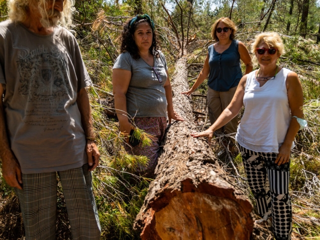 PHOTO-2021-07-28-21-29-41