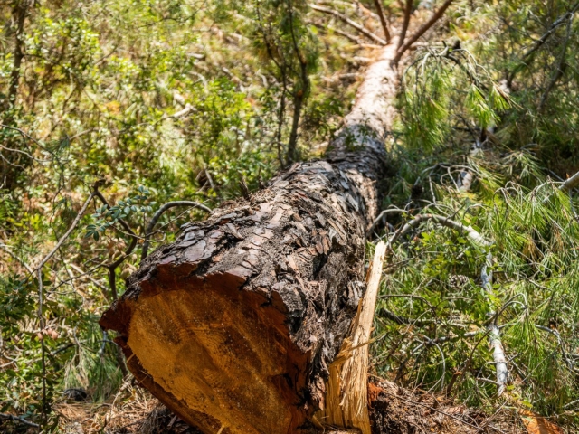 PHOTO-2021-07-28-21-29-41_1