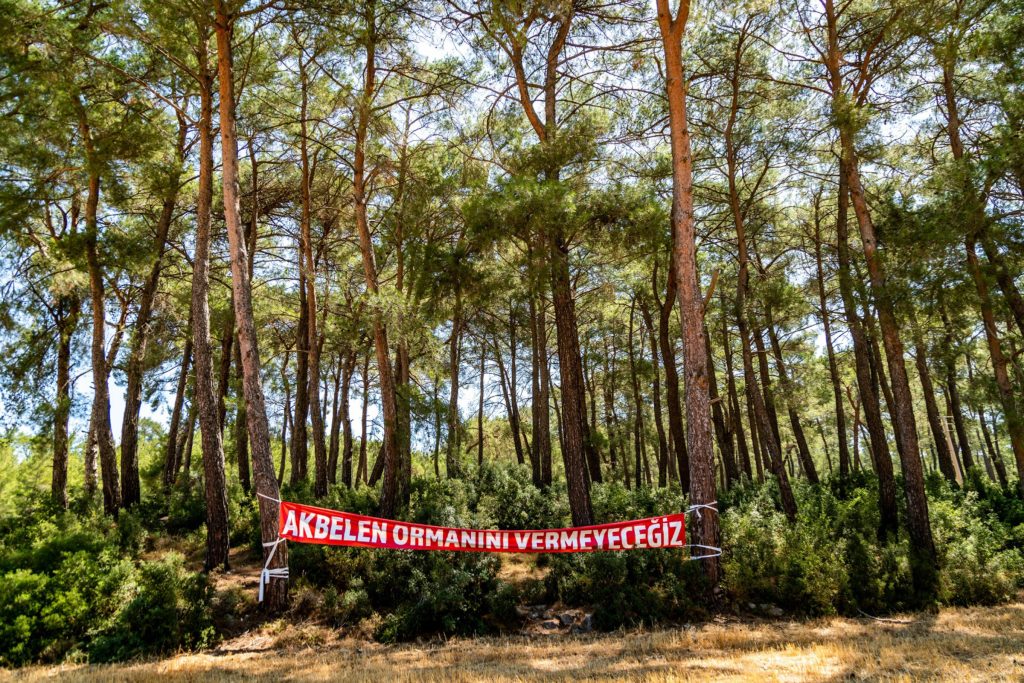 PHOTO-2021-07-28-21-30-05_3