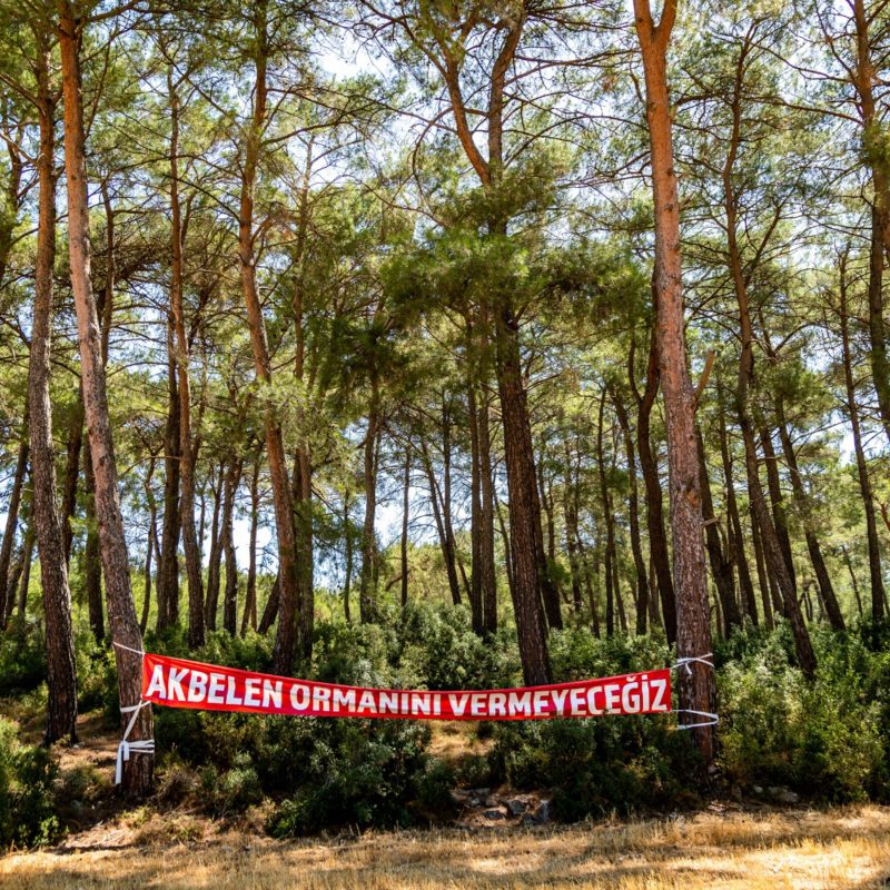 PHOTO-2021-07-28-21-30-05_3