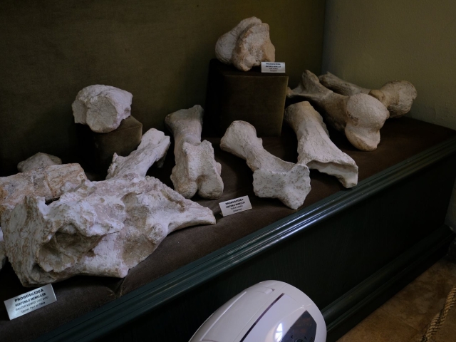 18489546_1869513739964340_5136891017278595584_o